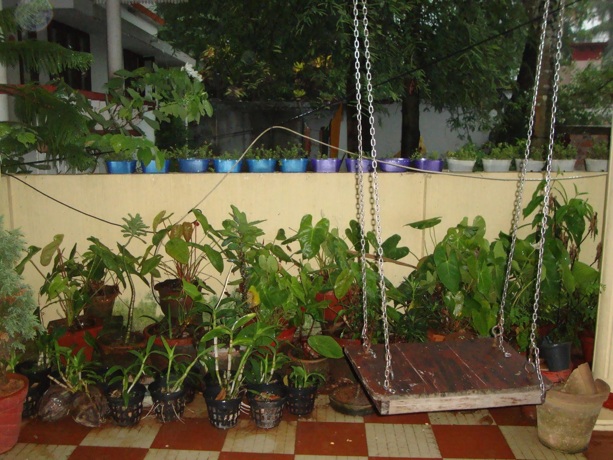 Homestay Lazar Residency *